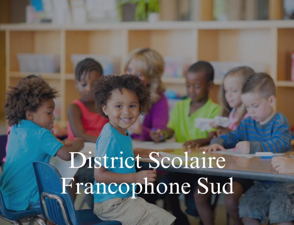 Lien vers le site du District Scolaire Francophone Sud. Link to the Francophone South School District.
