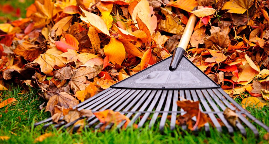 fall-home-maintenance-check-list-moncton-new-brunswick