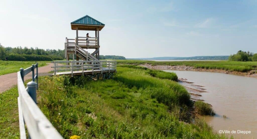 NB Trails Dieppe New Brunswick