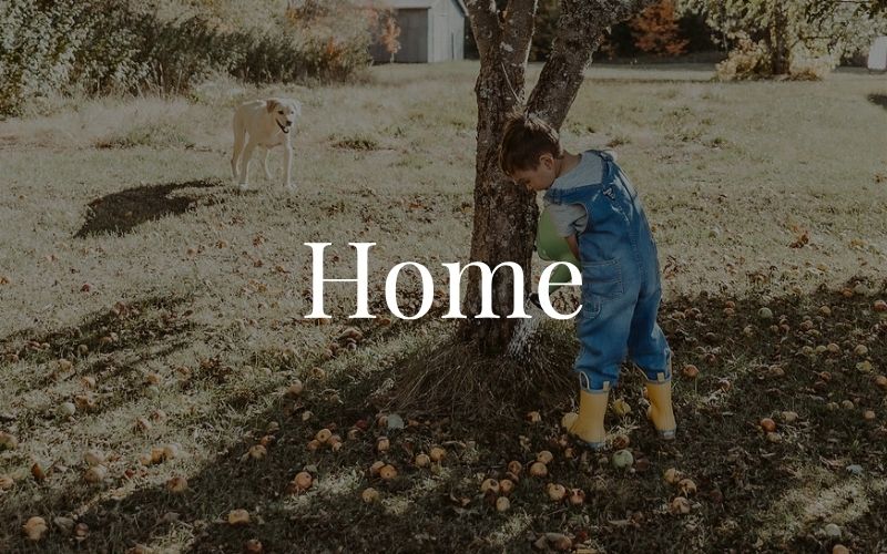 Home Blog Category