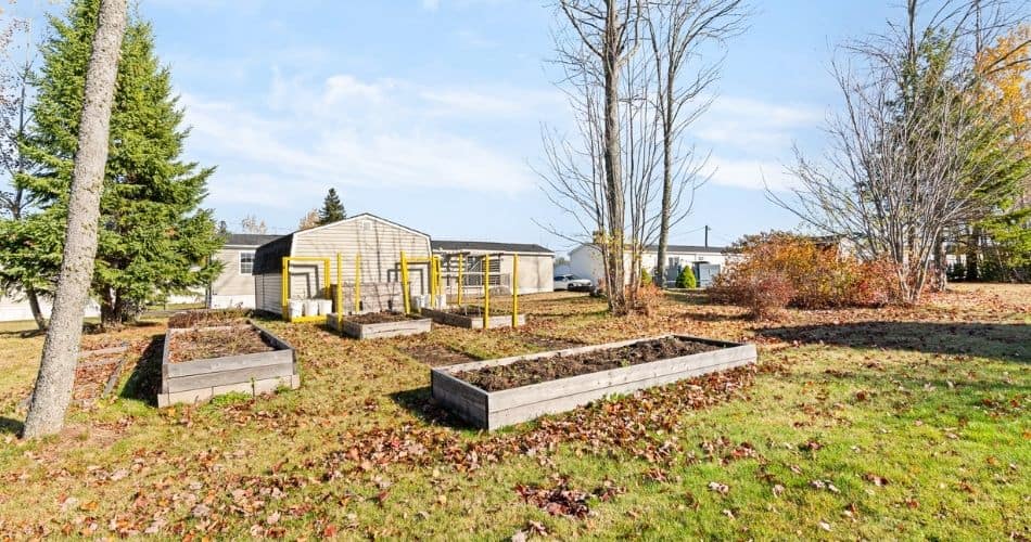 garden boxes and lot